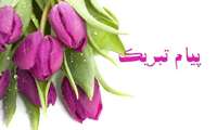پیام تبریک مدیر هسته گزینش به مناسبت روز پرستار